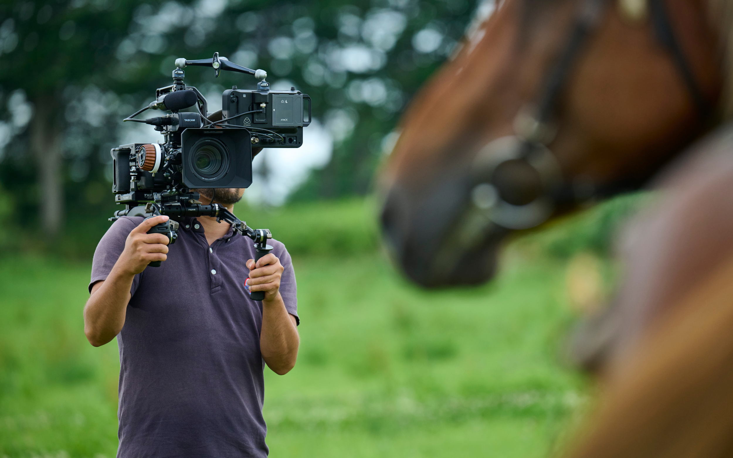 Cinema Cage, Rigs and Steadicams