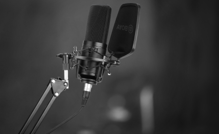 Studio Microphones