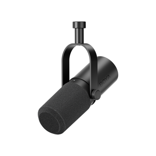 Podcast Mics