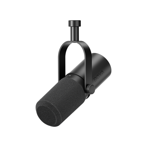 Podcast Mics