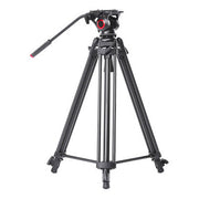 CAME-TV TP-606B Carbon Fiber Tripod with Fluid Head and Mid-Level Spreader
