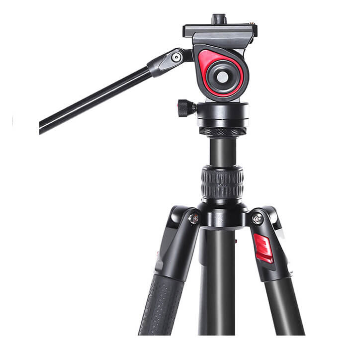 CAME-TV 5 KG Carbon Fiber Tripod with Fluid head TP801A