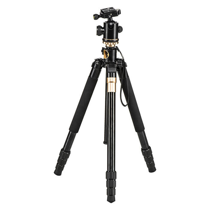 CAME-TV Q156 Low Shooting Tripod