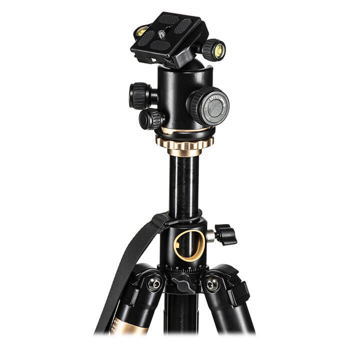 CAME-TV Q156 Low Shooting Tripod