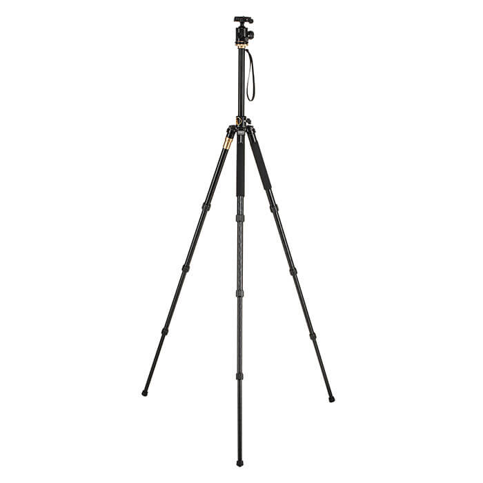 CAME-TV Q156 Low Shooting Tripod
