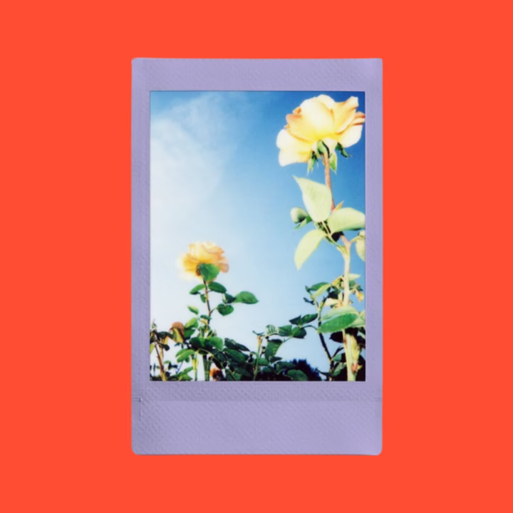 FUJIFILM Instax mini Soft Lavender Film {10 Exposures}