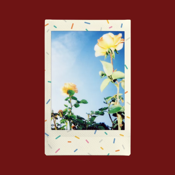 FUJIFILM Instax mini Sprinkles Film {10 Exposures}