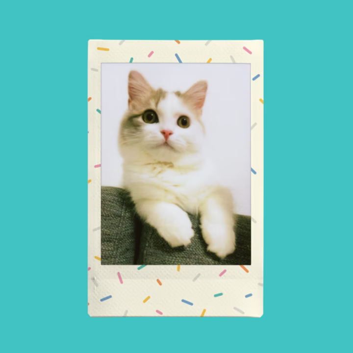 FUJIFILM Instax mini Sprinkles Film {10 Exposures}
