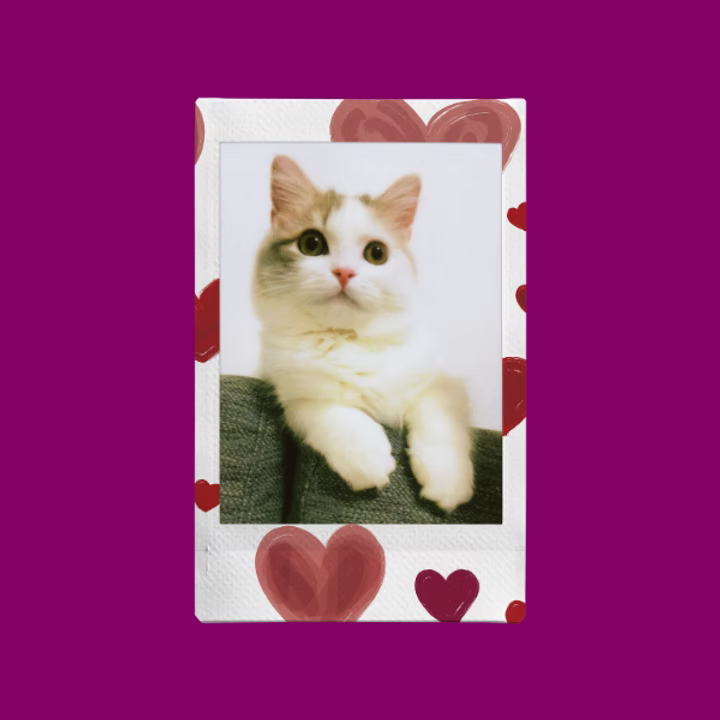 FUJIFILM Instax mini Heart Sketch Film {10 Exposures}