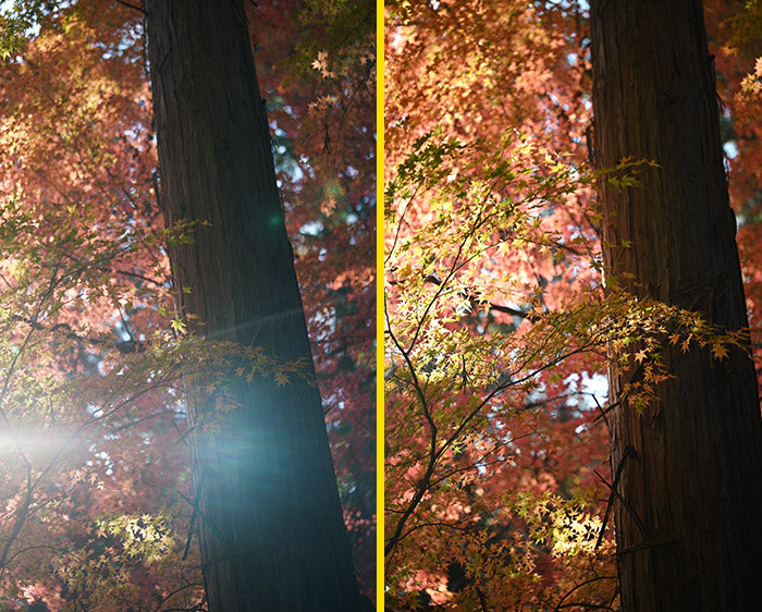 A flare for the dramatic.